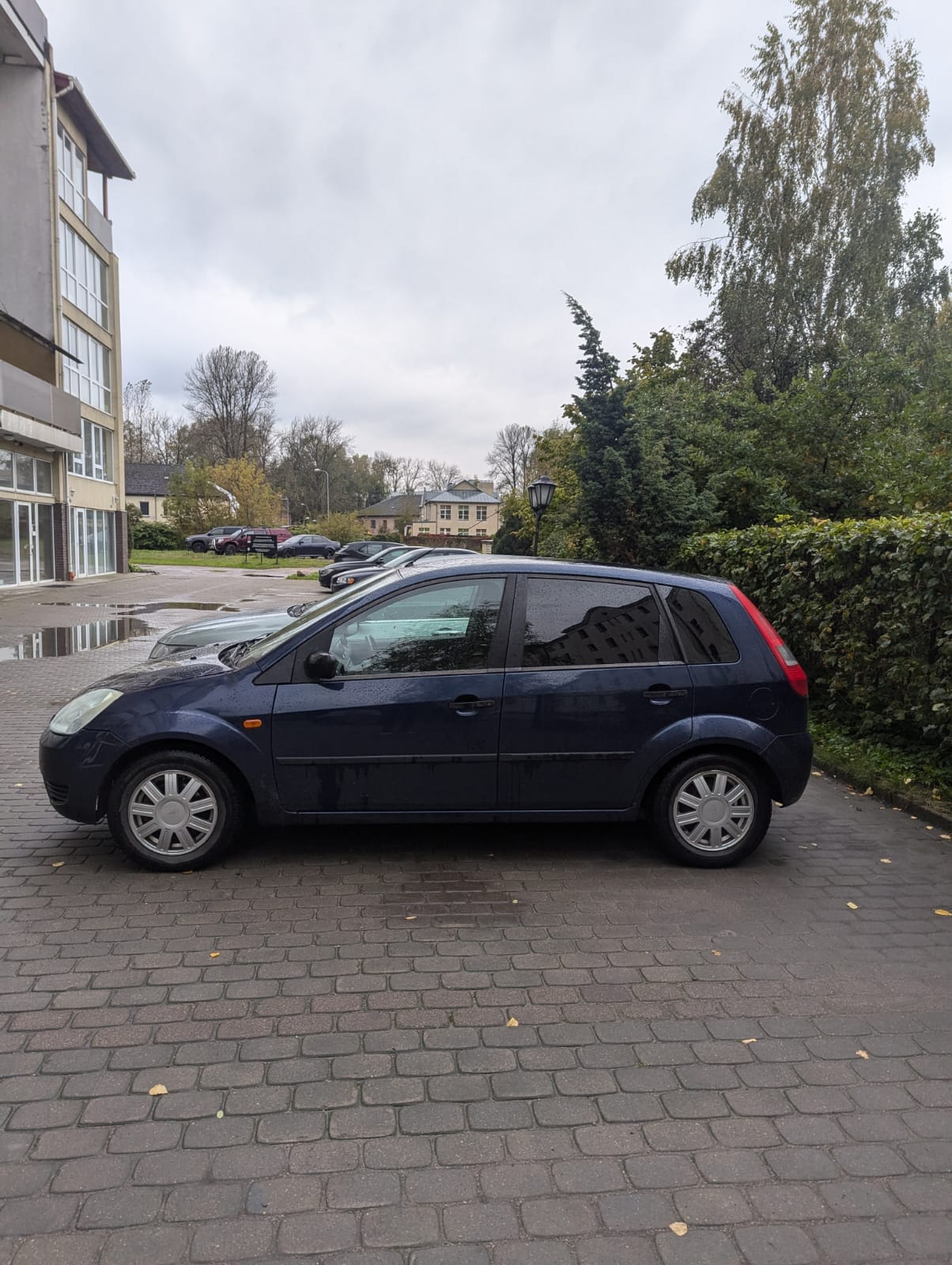 Ford Fiesta 1.4D for Rent