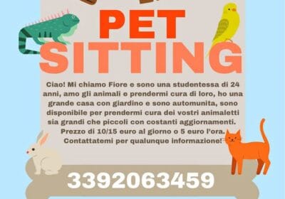 482310821_4113421485652294_1422871861948516560_n