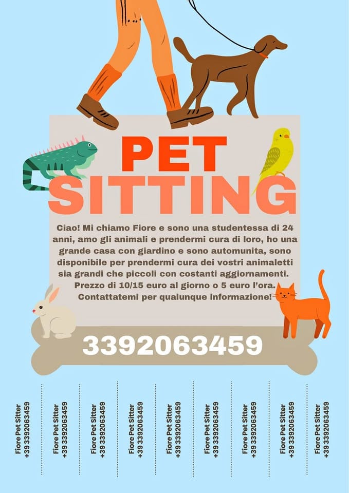 Pet sitter e dog walker!
